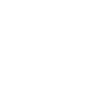 Mobile Device Security 1a1